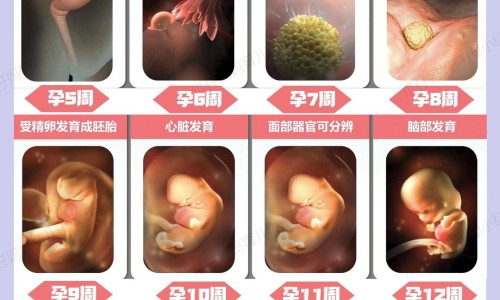 怀孕后肚皮上长毛-孕妇晚期肚皮上长毛网 - 孕晚期肚子长毛是怎么回事,孕妇肚皮上长毛与生男生女有关吗